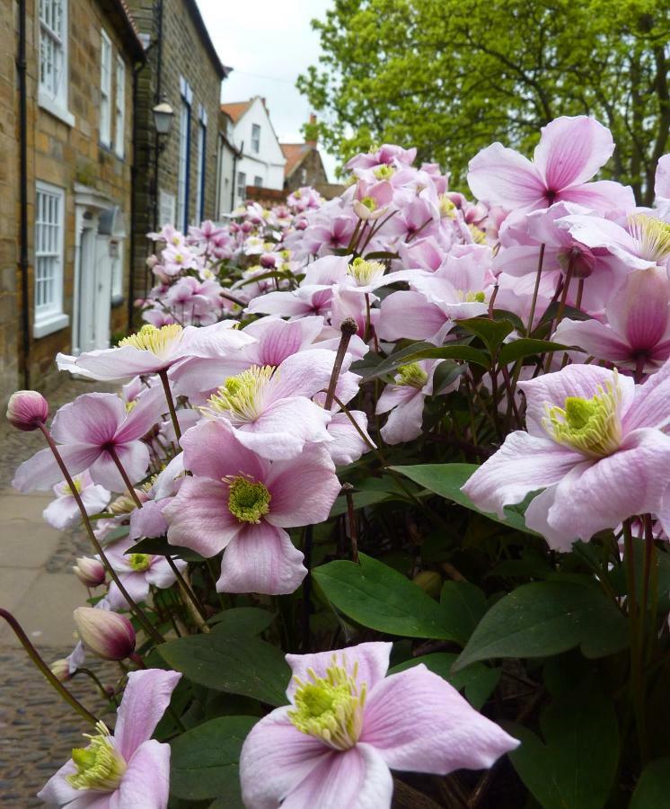 Aldersyde Bed & Breakfast Robin Hood's Bay Buitenkant foto